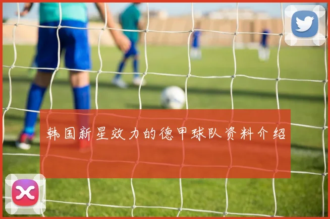 韩国新星效力的德甲球队资料介绍