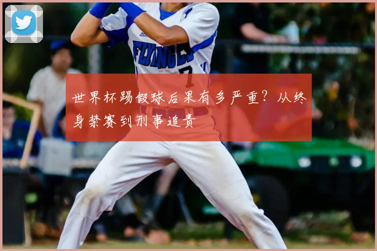 世界杯踢假球后果有多严重?从终身禁赛到刑事追责