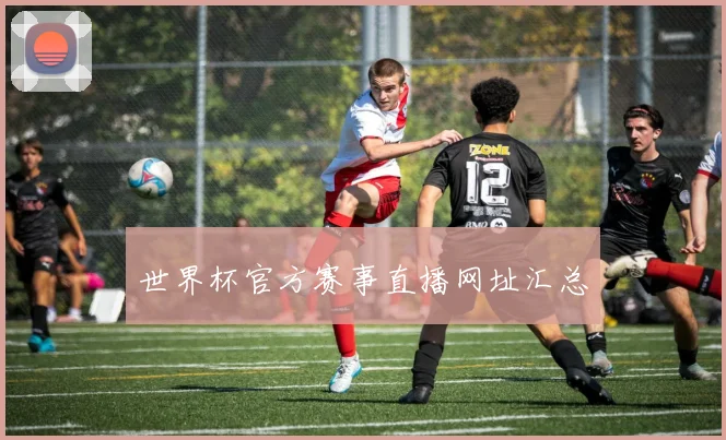 世界杯官方赛事直播网址汇总