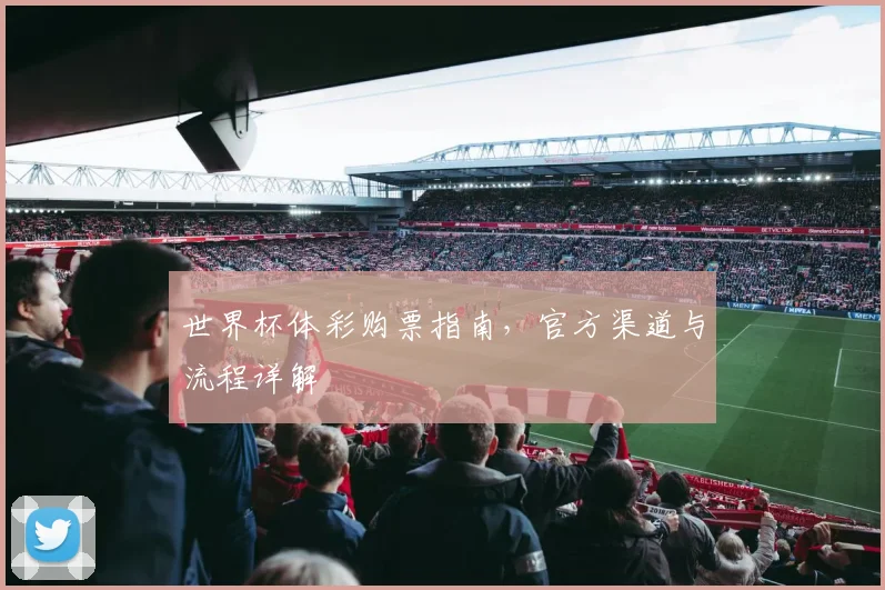 世界杯体彩购票指南，官方渠道与流程详解