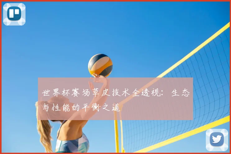 世界杯赛场草皮技术全透视：生态与性能的平衡之道