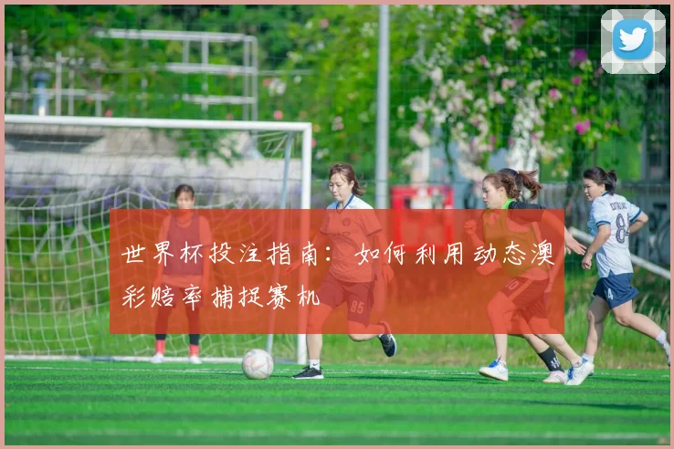 世界杯投注指南:如何利用动态澳彩赔率捕捉赛机