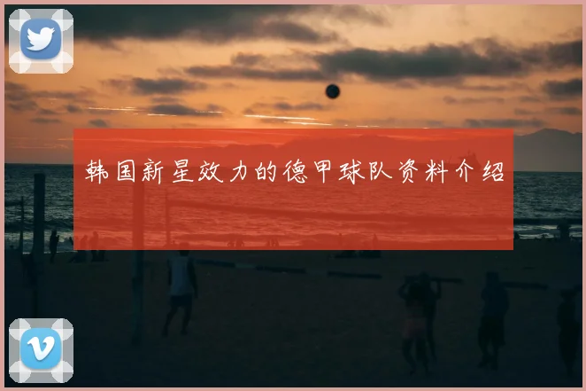 韩国新星效力的德甲球队资料介绍