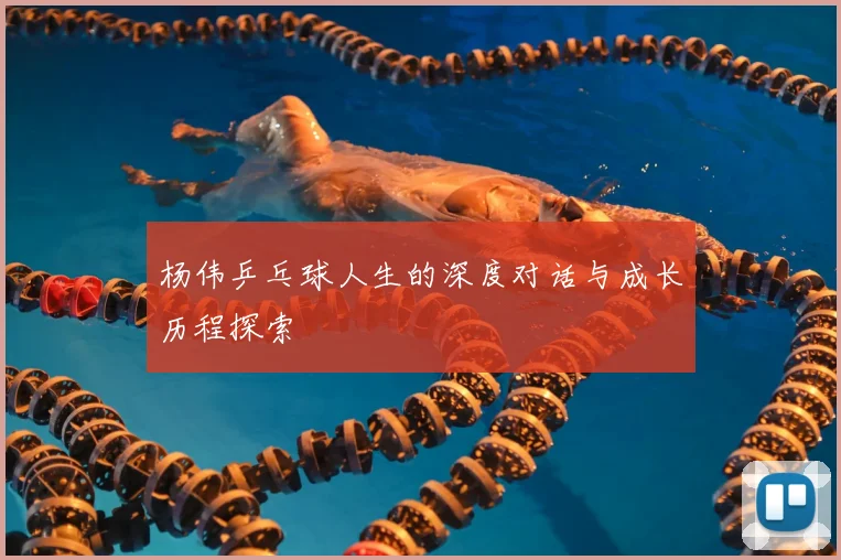杨伟乒乓球人生的深度对话与成长历程探索