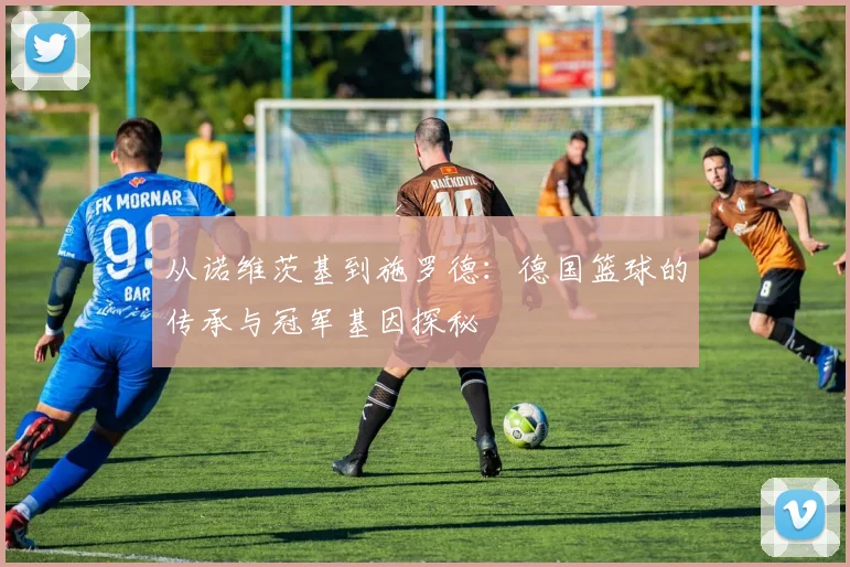 从诺维茨基到施罗德：德国篮球的传承与冠军基因探秘