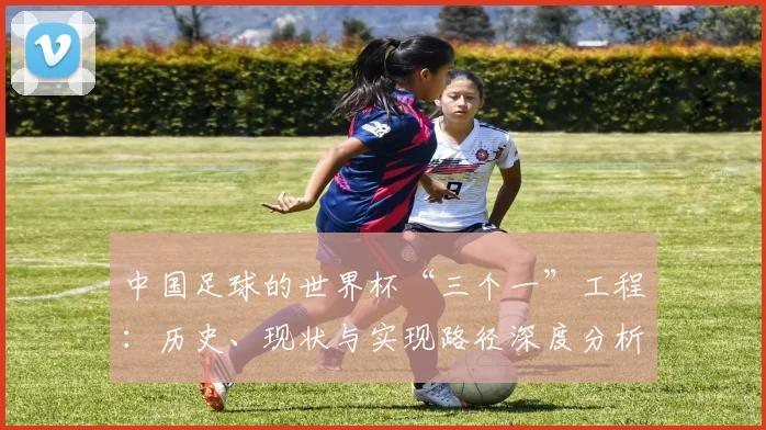 中国足球的世界杯“三个一”工程：历史、现状与实现路径深度分析