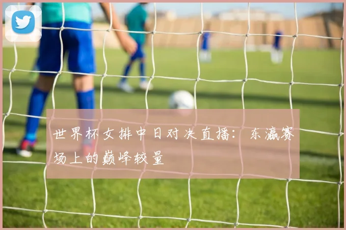 世界杯女排中日对决直播：东瀛赛场上的巅峰较量