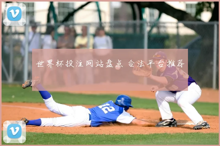 世界杯投注网站盘点 合法平台推荐