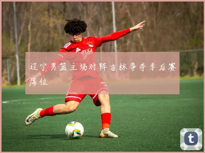 辽宁男篮主场对阵吉林争夺季后赛席位