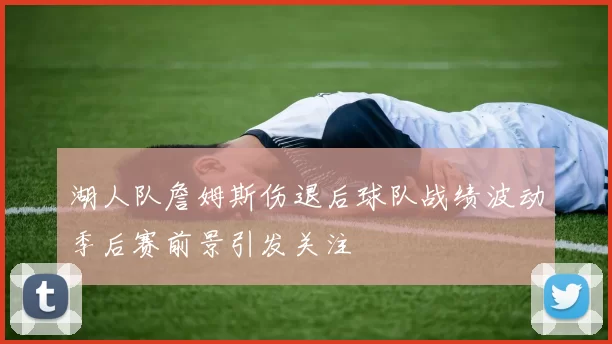 湖人队詹姆斯伤退后球队战绩波动季后赛前景引发关注