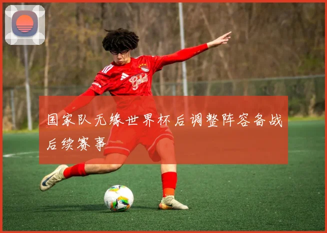 国家队无缘世界杯后调整阵容备战后续赛事