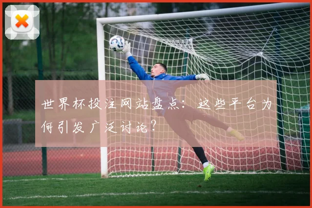 世界杯投注网站盘点：这些平台为何引发广泛讨论？