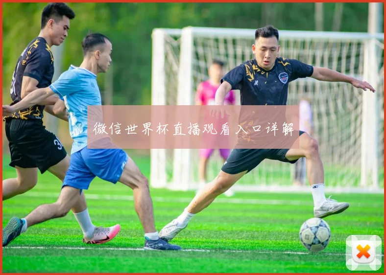 微信世界杯直播观看入口详解