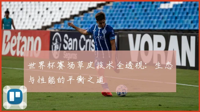 世界杯赛场草皮技术全透视：生态与性能的平衡之道