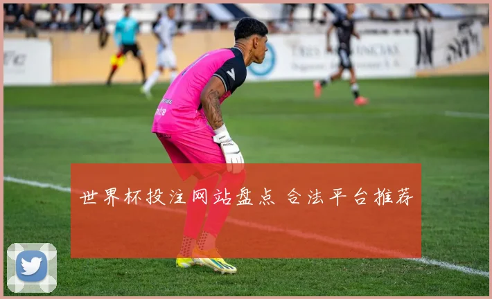 世界杯投注网站盘点 合法平台推荐