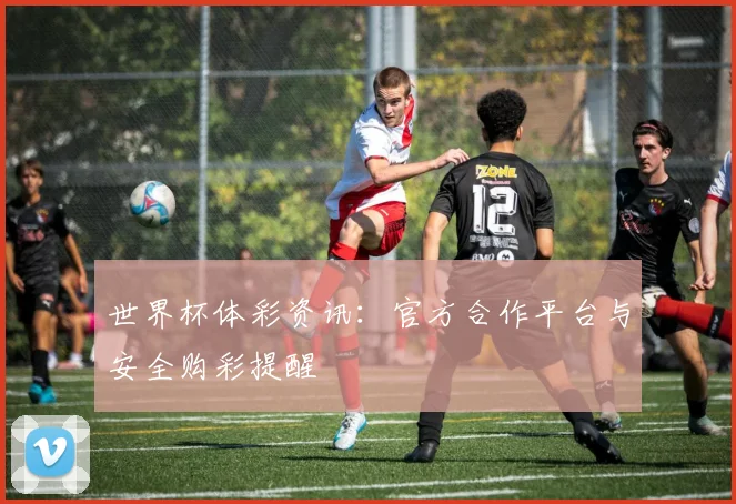 世界杯体彩资讯：官方合作平台与安全购彩提醒