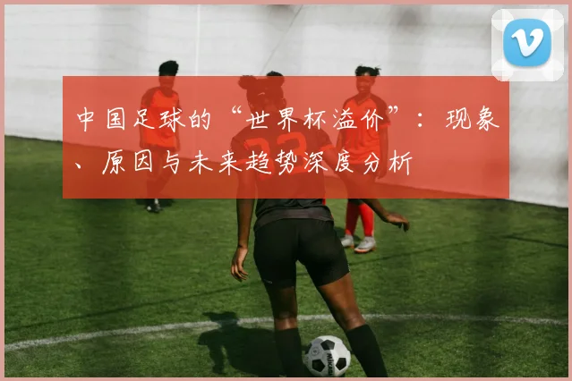中国足球的“世界杯溢价”：现象、原因与未来趋势深度分析